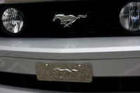 PoCo Mustang -09_0015