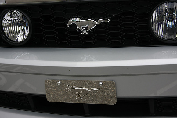 PoCo Mustang -09_0015