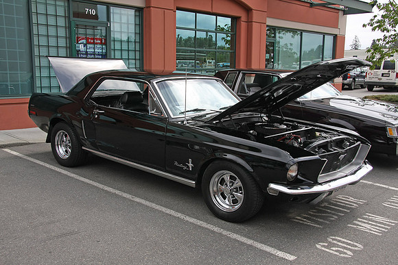 PoCo Mustang -09_0001
