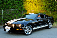 poco_car_show_mustangs