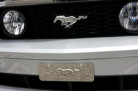 PoCo Mustang -09_0016