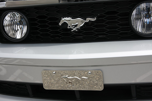 PoCo Mustang -09_0016