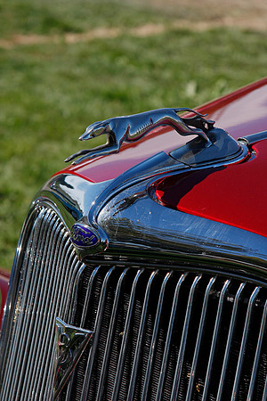 _MG_0501-a