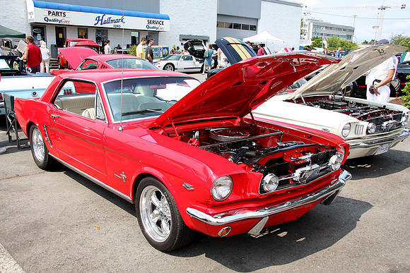 Hallmark-2010_0087