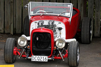 IMG_0008-Crop-a