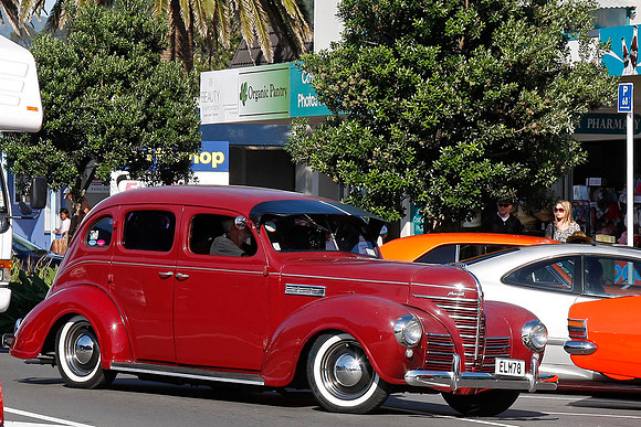 _MG_0069-Crop