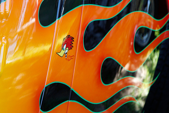 _MG_0892-Crop
