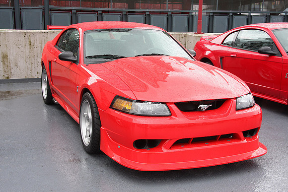 Mustangs On Top-2010_0015