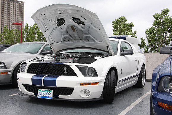 Mustangs On Top-2010_0023