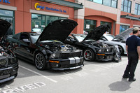 PoCo Mustang -09_0020