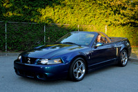 poco_car_show_mustangs-12