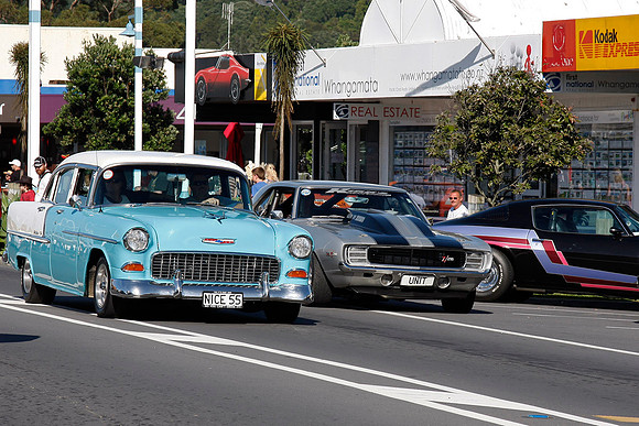 _MG_0067-Crop