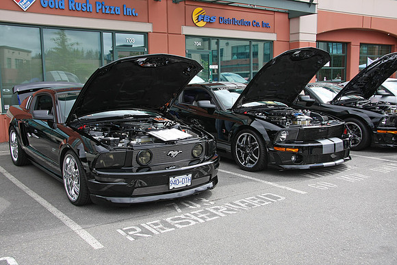 PoCo Mustang -09_0021