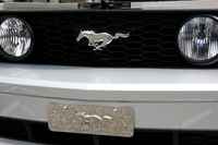 PoCo Mustang -09_0017