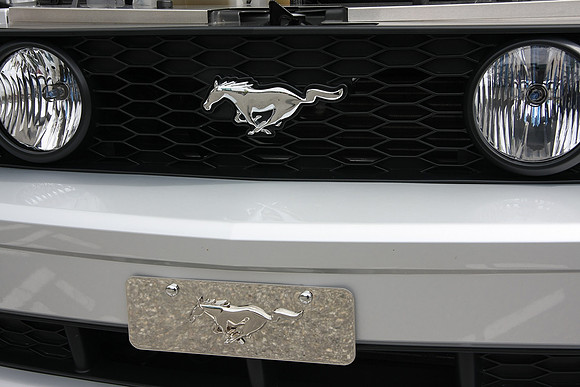 PoCo Mustang -09_0017