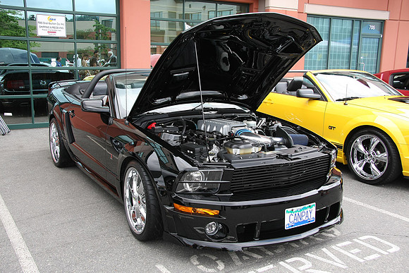 PoCo Mustang -09_0014