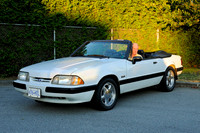 poco_car_show_mustangs-9
