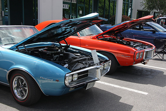 Ironwood-2010_0071