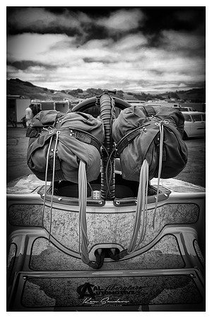 IMG_0042-a bw wm