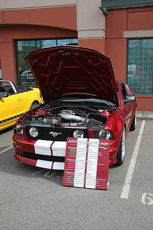 PoCo Mustang -09_0009