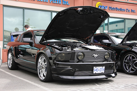 PoCo Mustang -09_0022