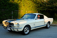 poco_car_show_mustangs-3