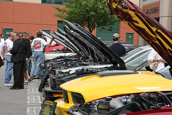 PoCo Mustang -09_0006