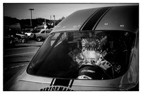IMG_0048-a b&w wm