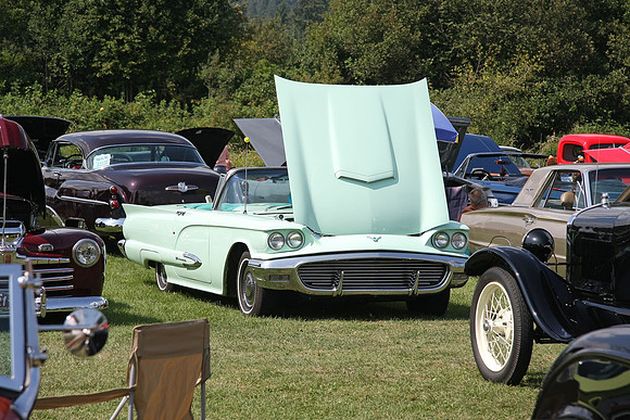 Early Ford Aug-09_0038