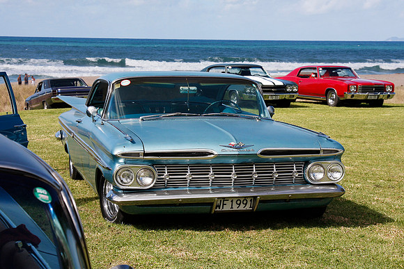 _MG_0008-Crop