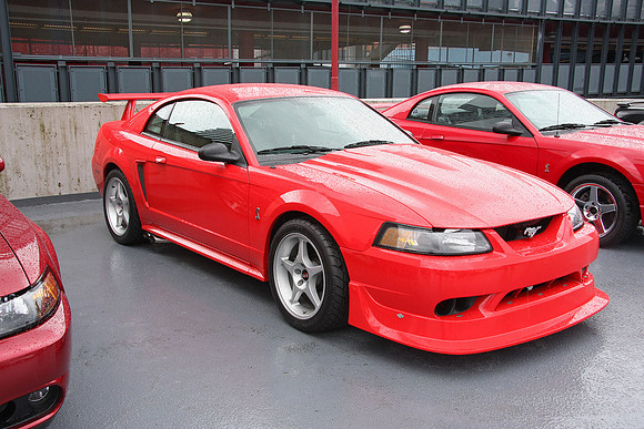 Mustangs On Top-2010_0016