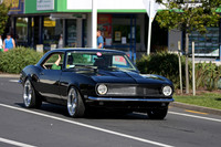 IMG_0278-Crop