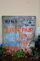 IMG_0006-a