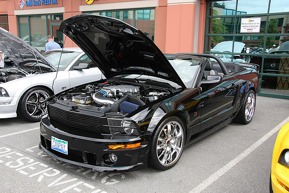 PoCo Mustang -09_0013