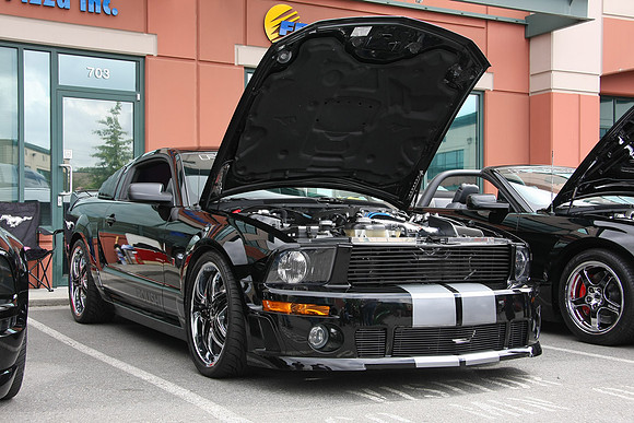 PoCo Mustang -09_0023