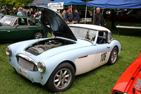 ABCM 2010_0023
